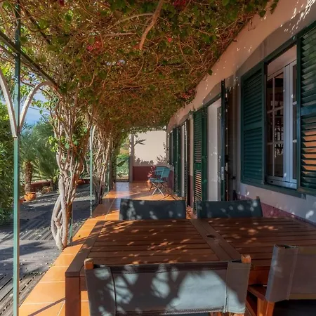 Cozy Flora By Madeira