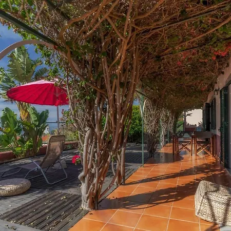 Cozy Flora By Madeira