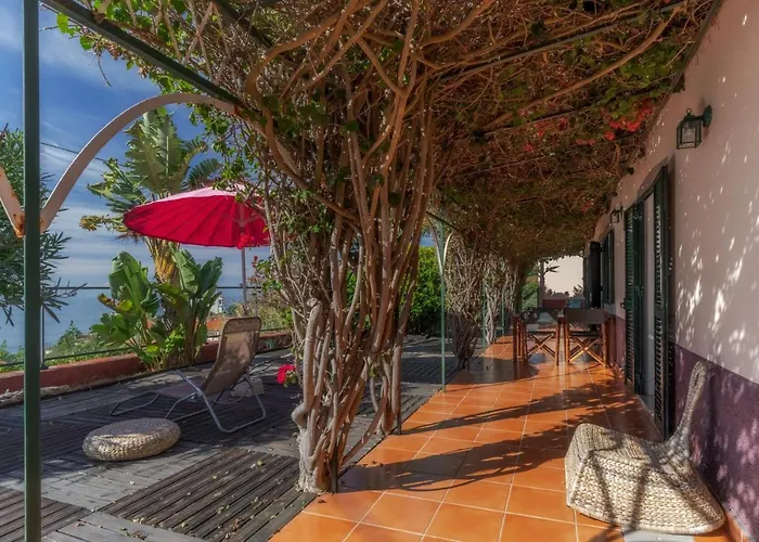 Cozy Flora By Madeira