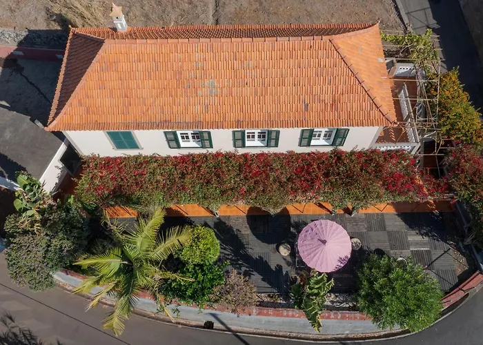 Vila Cozy Flora By Madeira