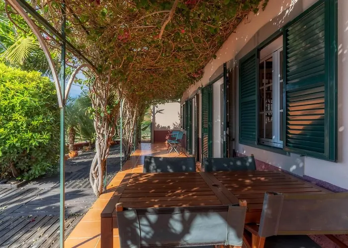 Cozy Flora By Madeira