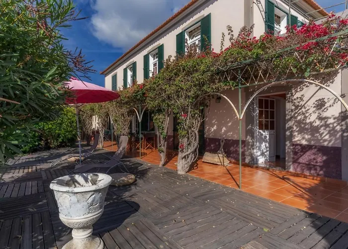 Cozy Flora By Madeira Villa *